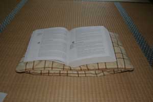 ソバガラ枕の上に厚い本を置いてみました