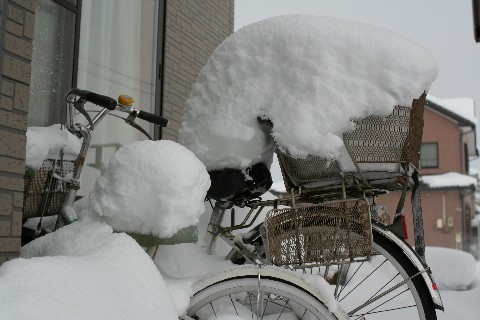 自転車の積雪